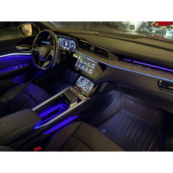 Audi e-tron 2021