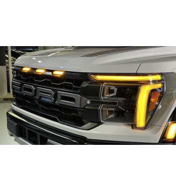 Ford F150 Raptor 2024