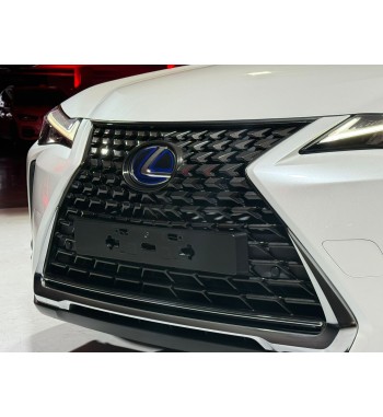 Lexus UX250H 2020
