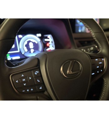 Lexus UX250H 2020