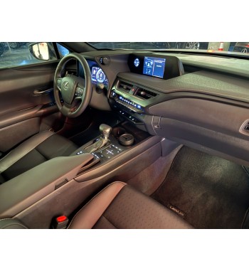 Lexus UX250H 2020