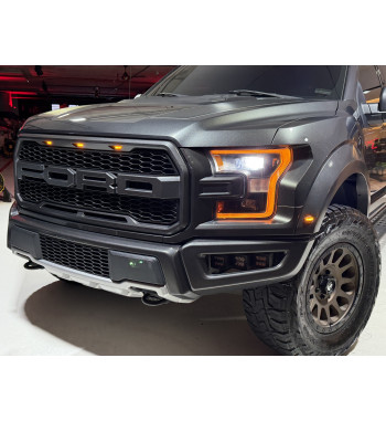 FORD F-150 RAPTOR 2020