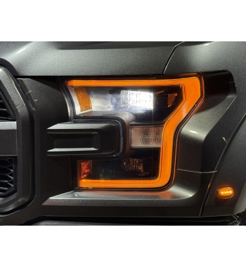 FORD F-150 RAPTOR 2020