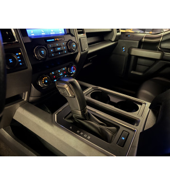 FORD F-150 RAPTOR 2020