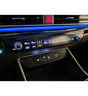 KIA CARNIVAL 2025