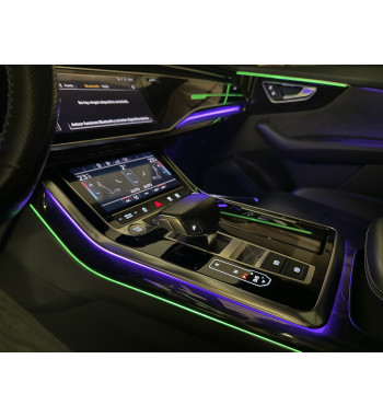 AUDI Q8 2019