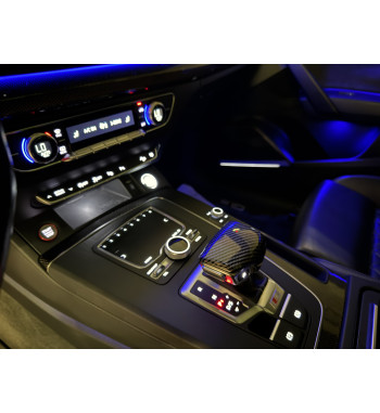 Audi SQ5 2019